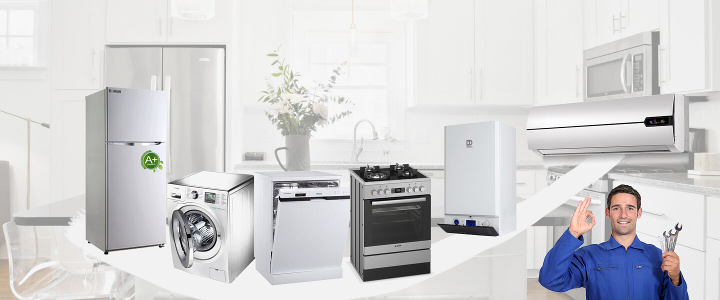 Maden Electrolux Servisi